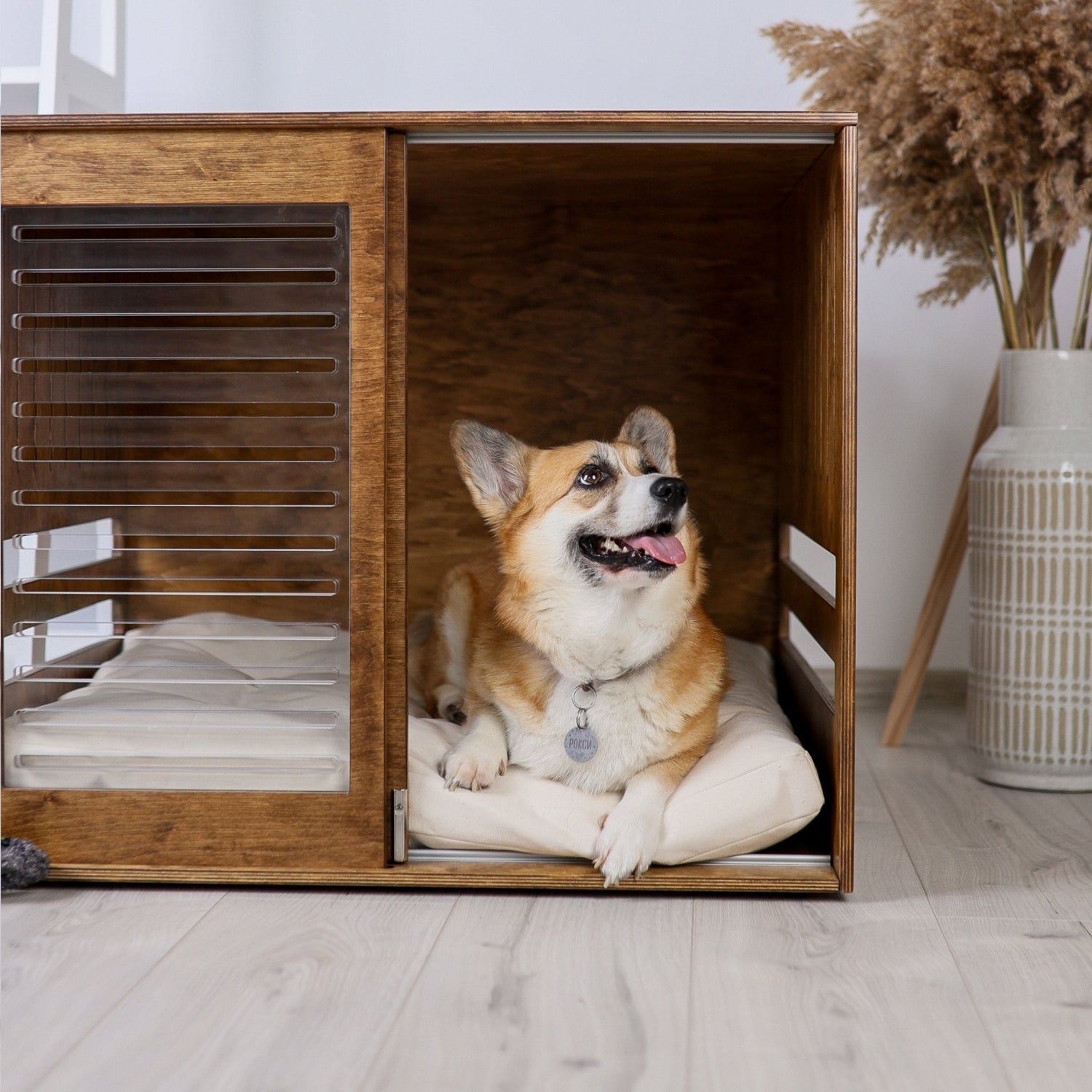 Does Your Pet Need Personal Space and How to Create It? - PetSo
