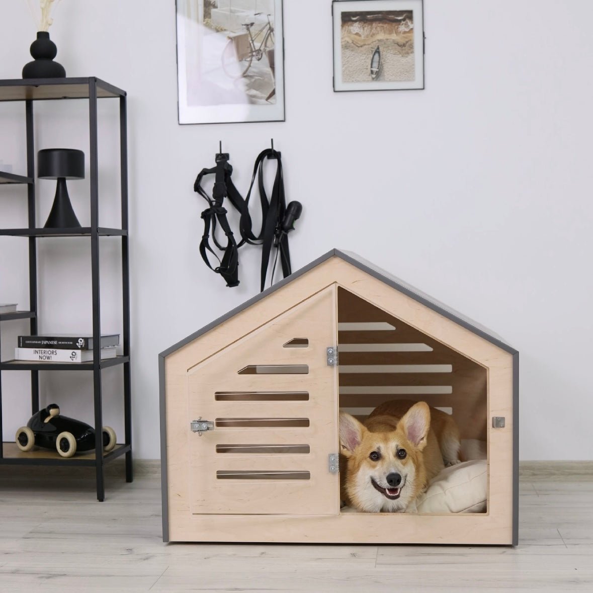 House Training Your Puppy - PetSo