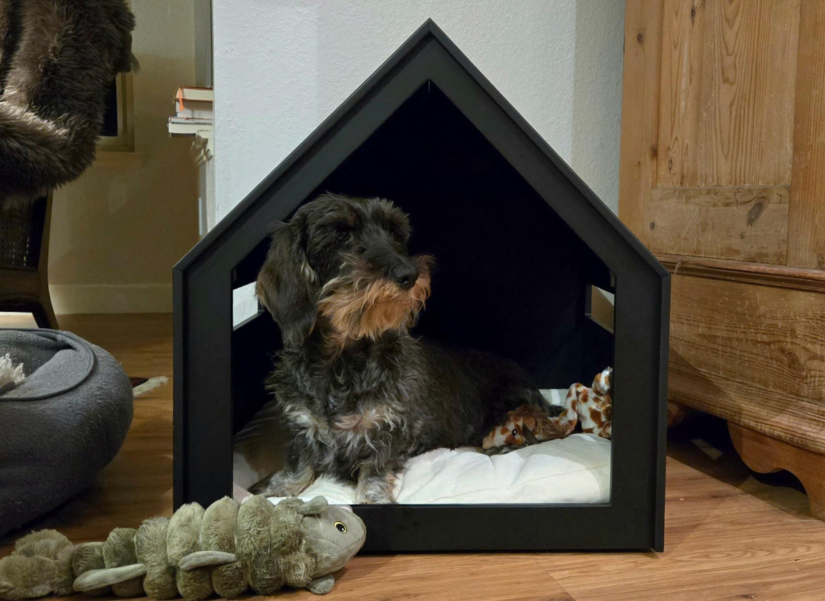 Is Crate Training Cruel? Door Open, Closed, or No Door