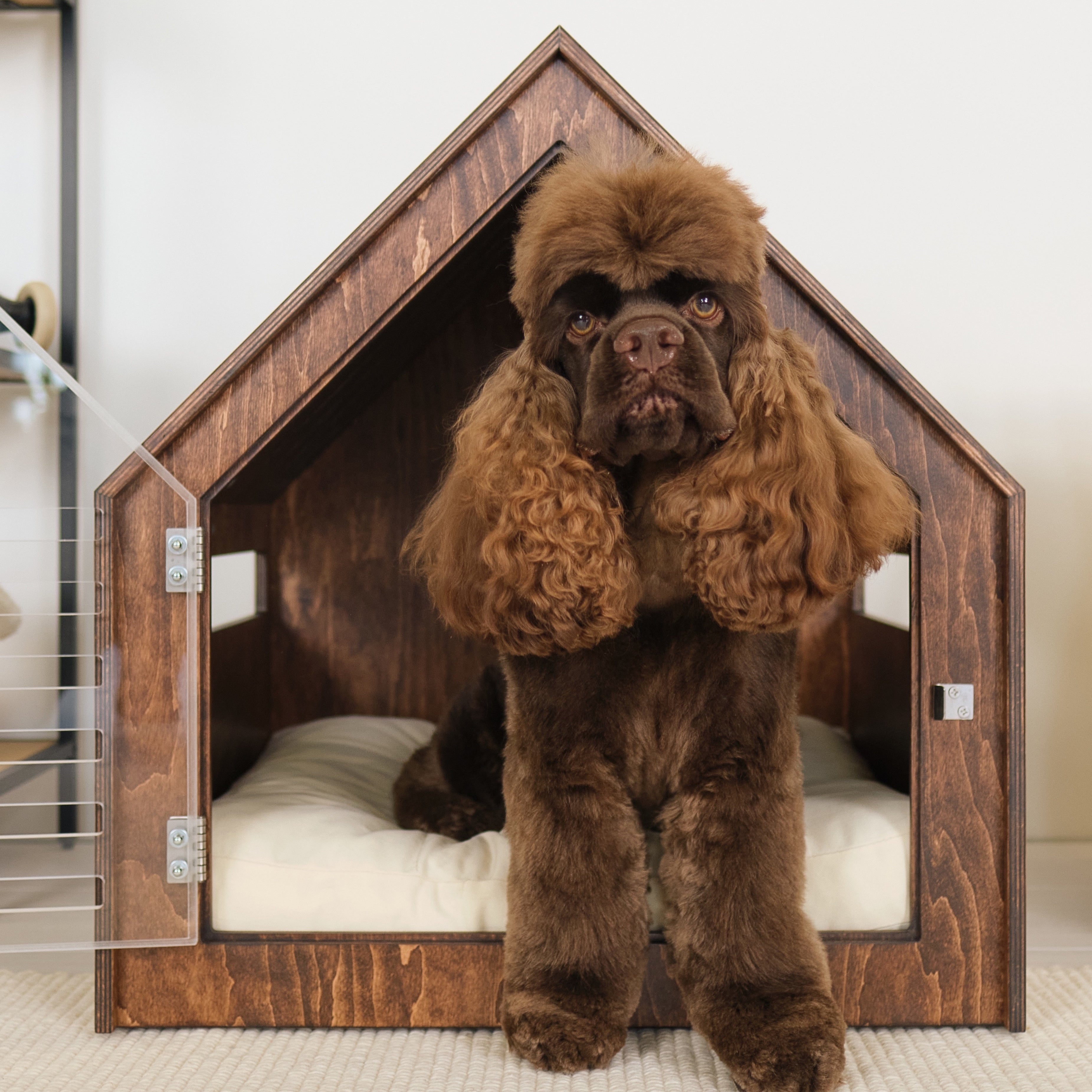 Brown dog sitting inside a wooden doghouse.