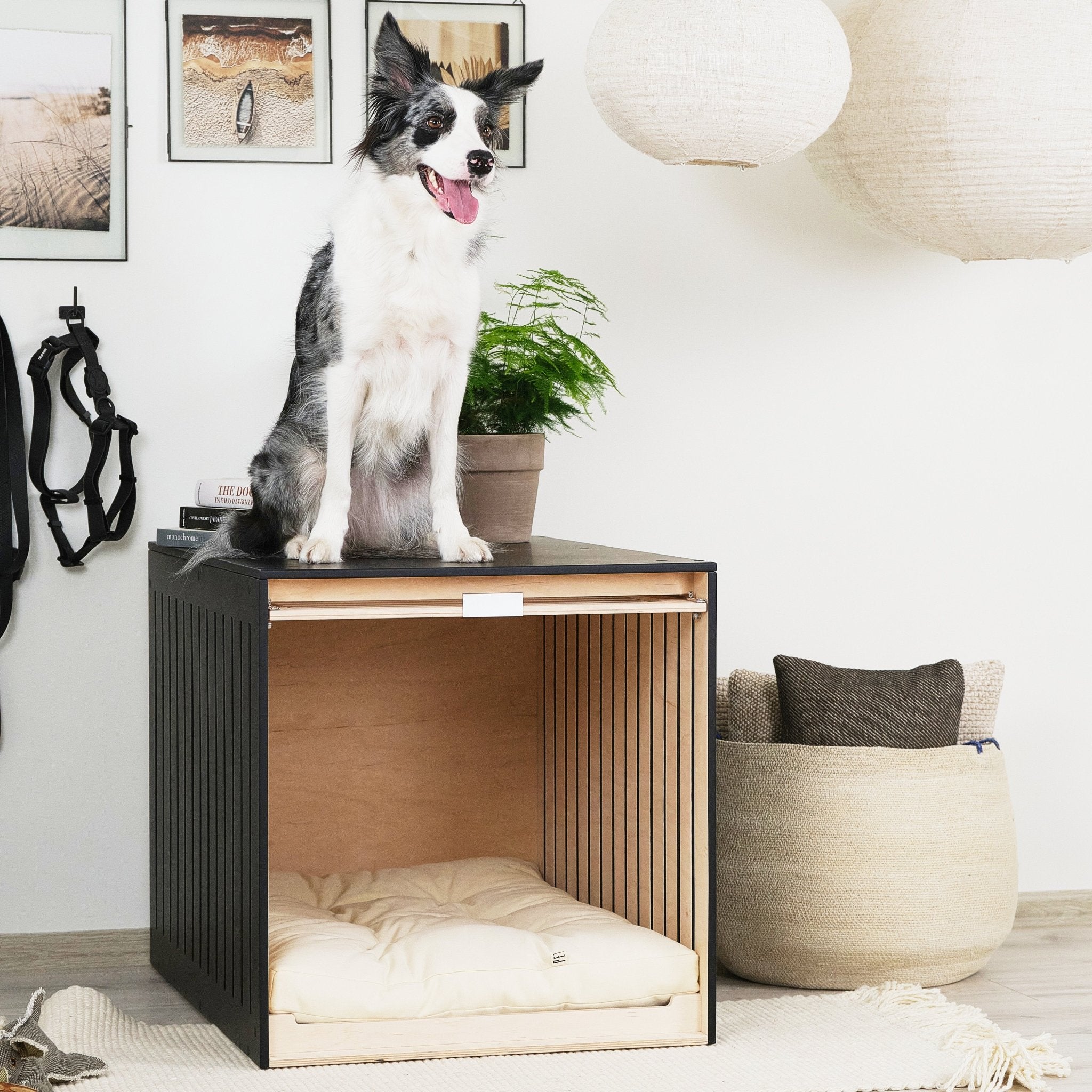 Condo Classic Modern dog crate PetSo