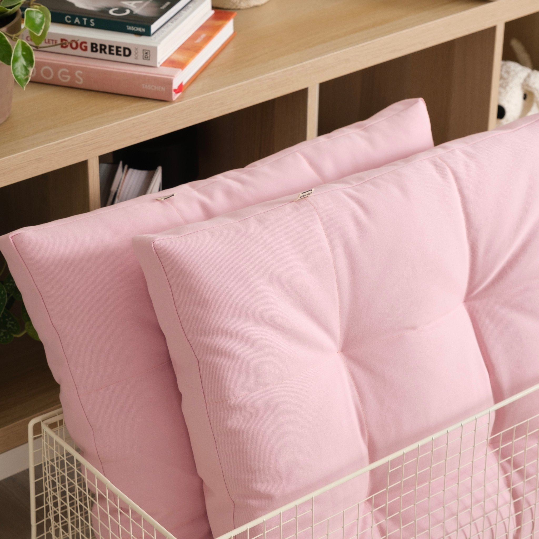 Cushion color upgrade PetSo