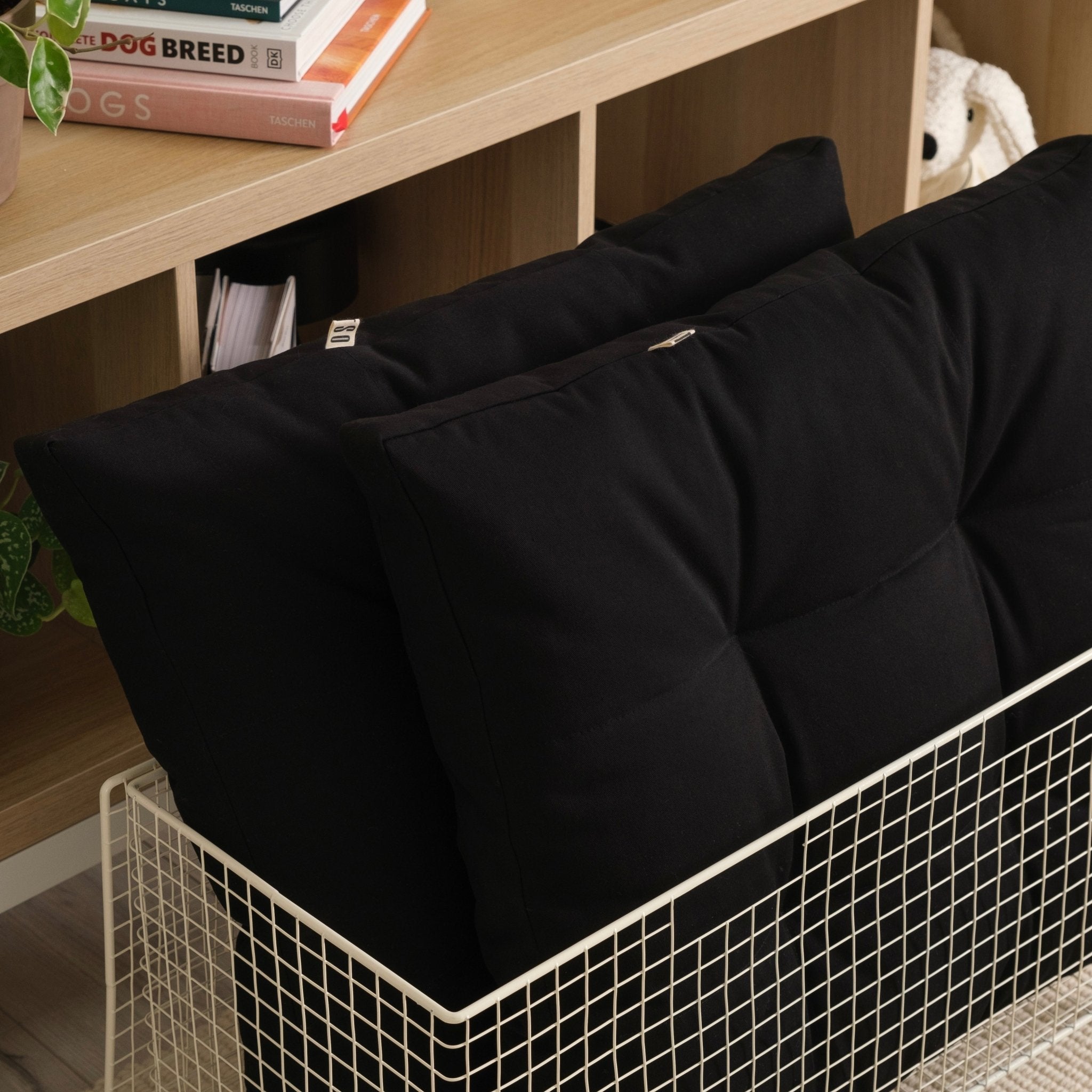 Cushion color upgrade PetSo