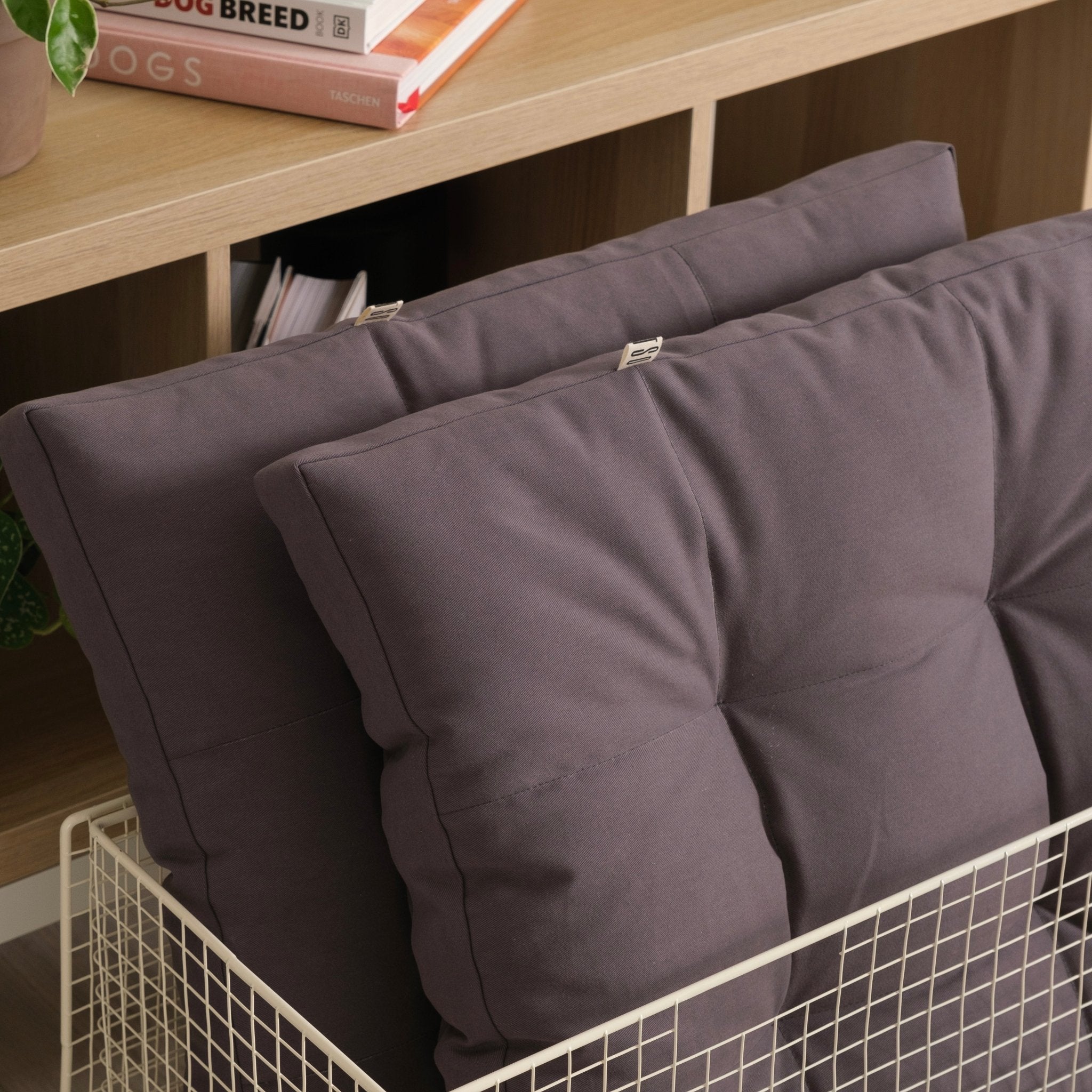 Cushion color upgrade PetSo