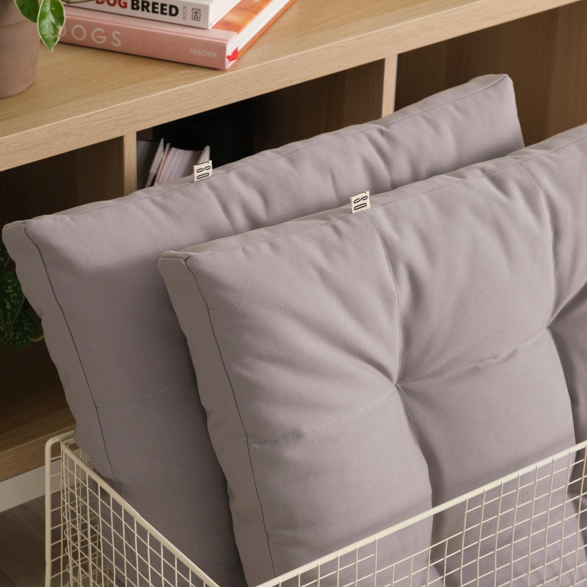 Cushion color upgrade PetSo