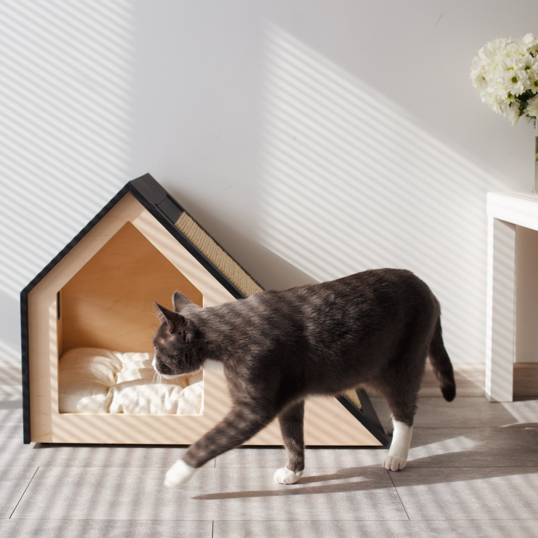 Hamm Scratch Cat house with scratcher PetSo