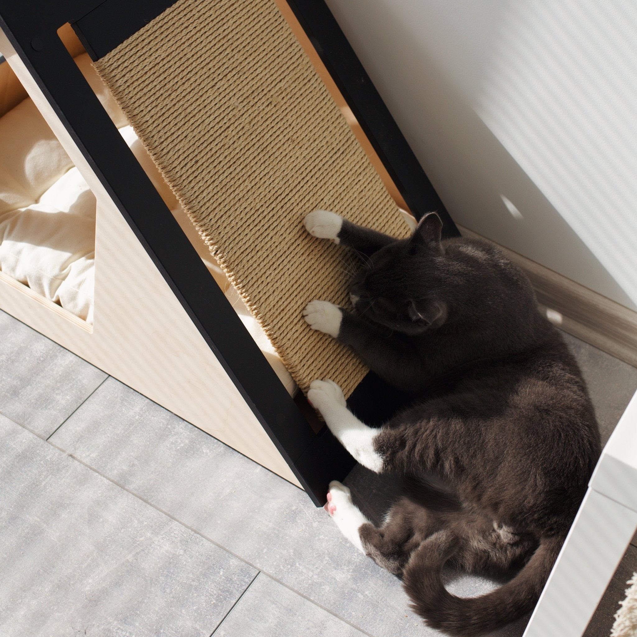Hamm Scratch Cat house with scratcher PetSo