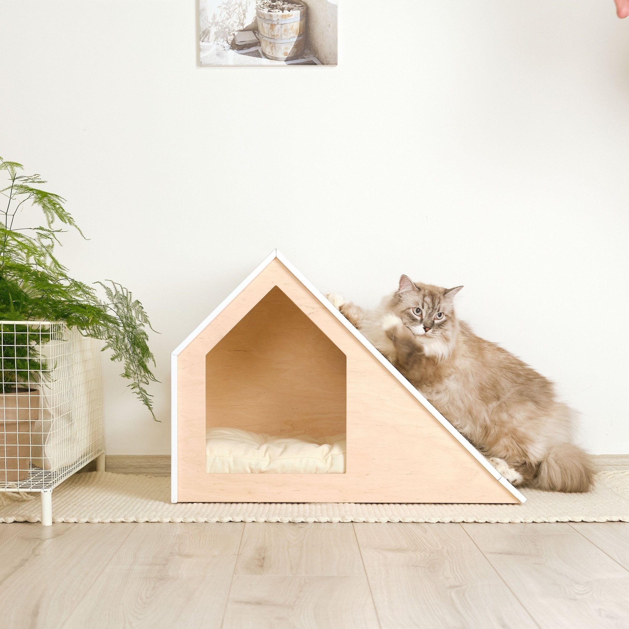 Hamm Scratch Cat house with scratcher PetSo