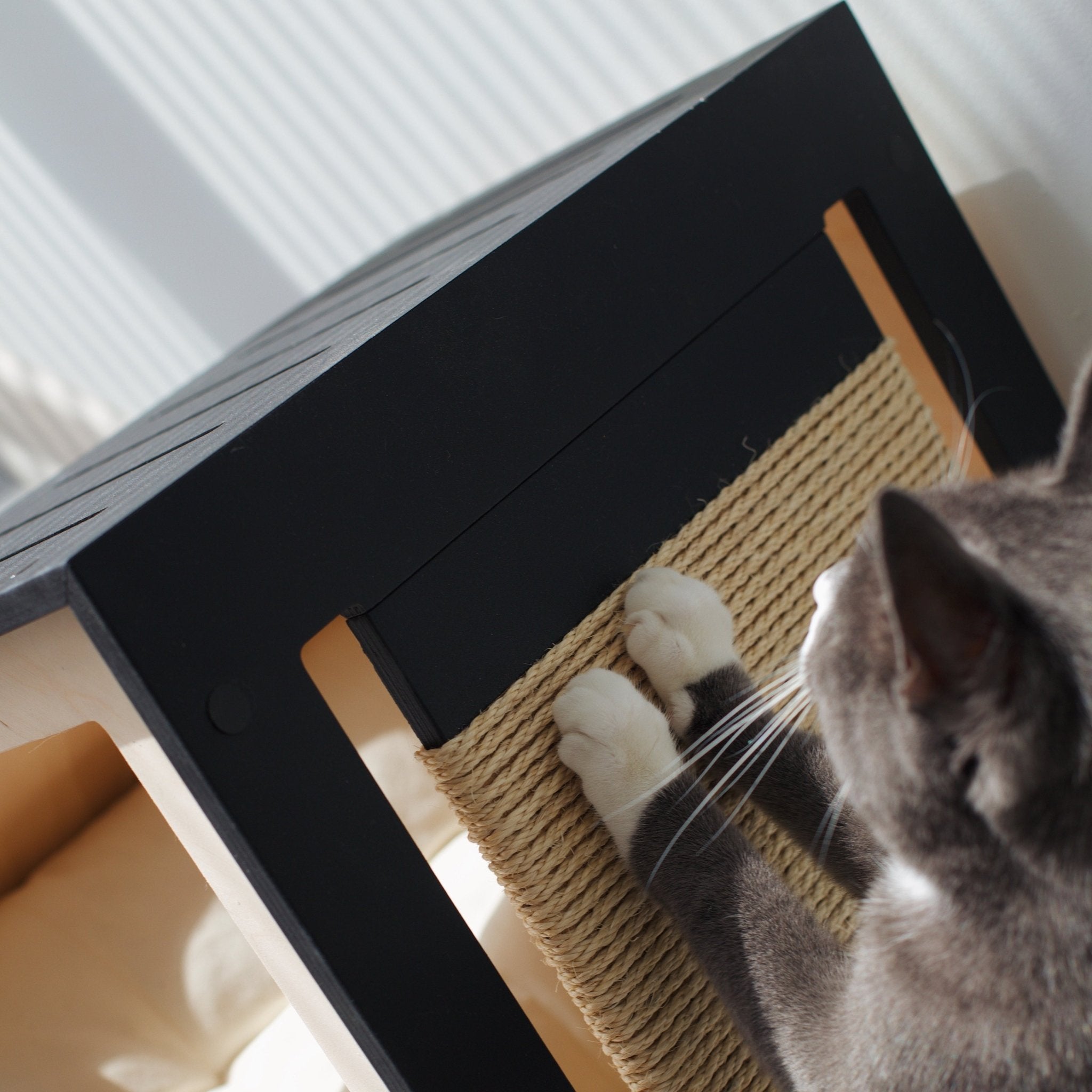 Hamm Scratch Cat house with scratcher PetSo