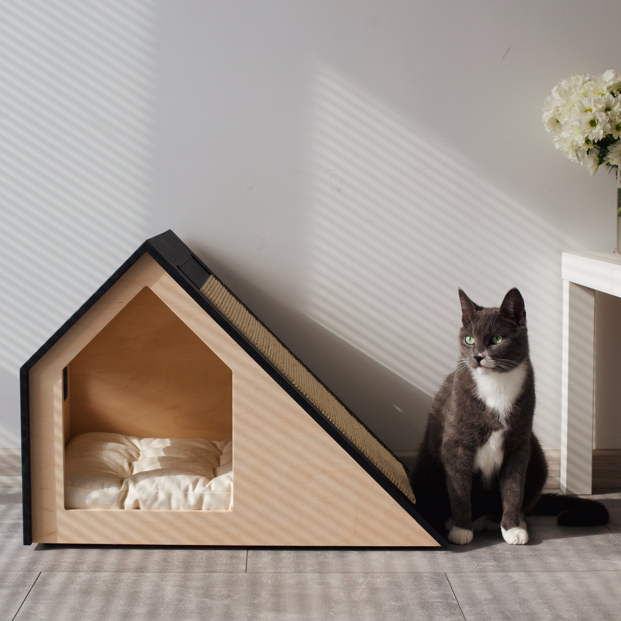 Hamm Scratch Cat house with scratcher PetSo