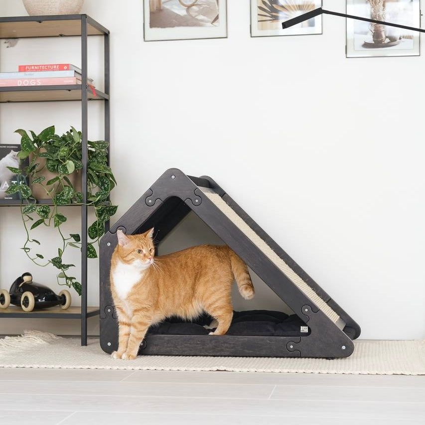 Cats and Kids: Why personal space brings harmony to the family