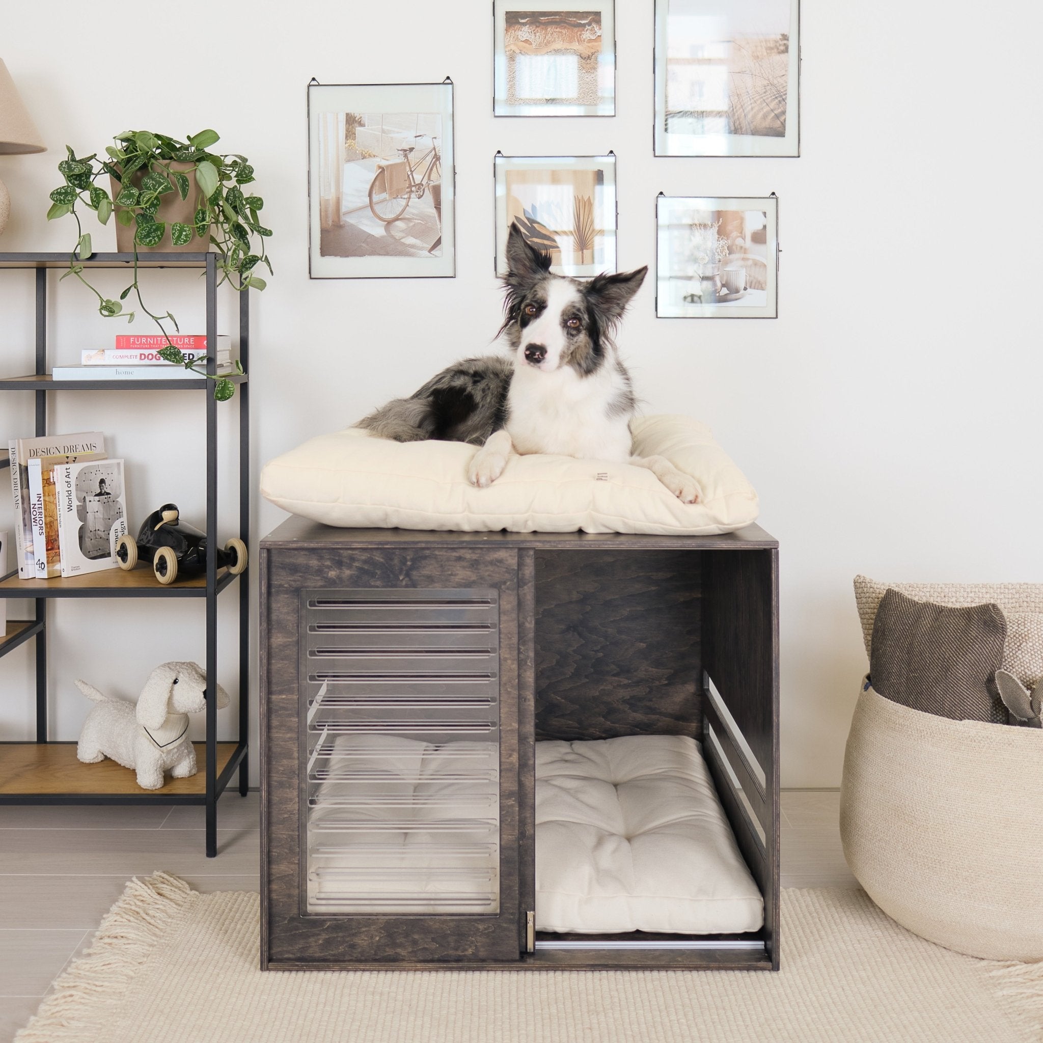 Puppy Potty Training Tips: Housebreaking Made Simple! - PetSo