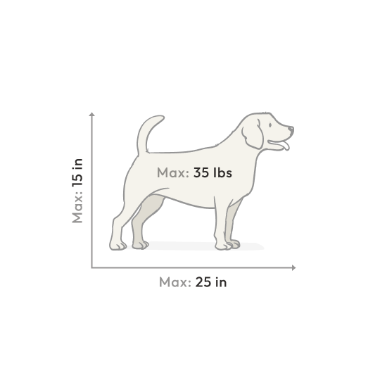 Metaobject Image