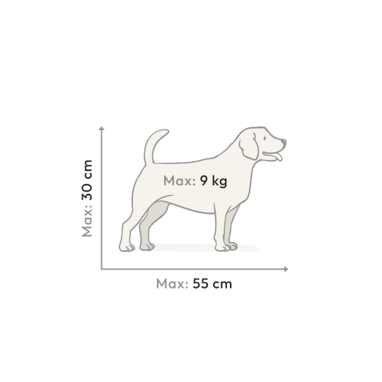 Metaobject Image