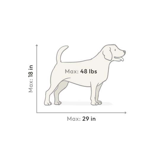 Metaobject Image