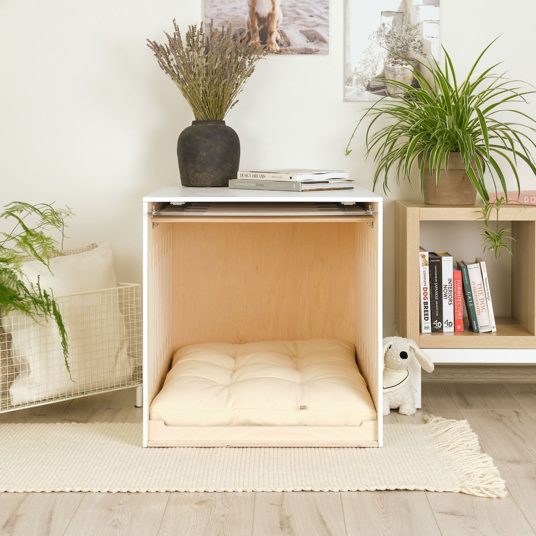 Condo Cane Dog crate PetSo