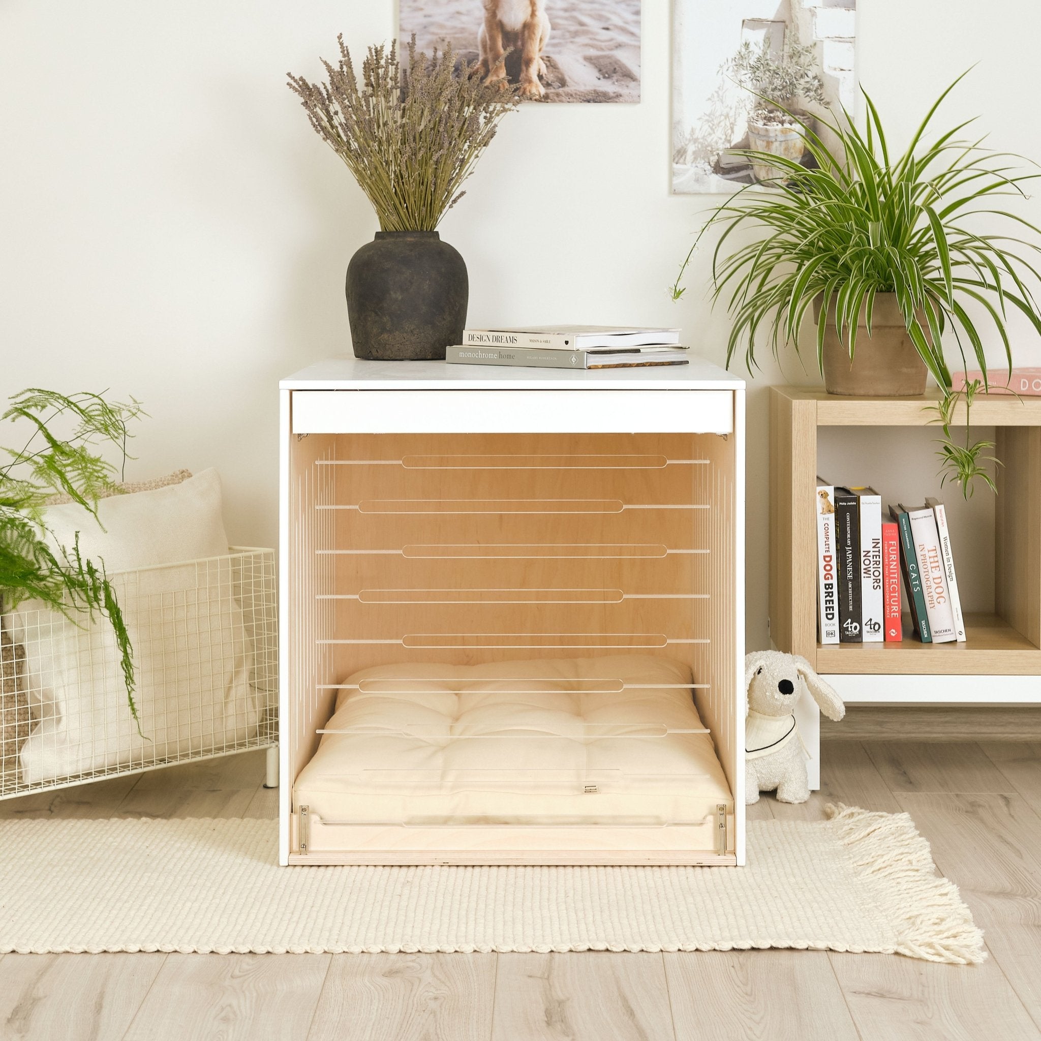 Condo Cane Dog crate PetSo