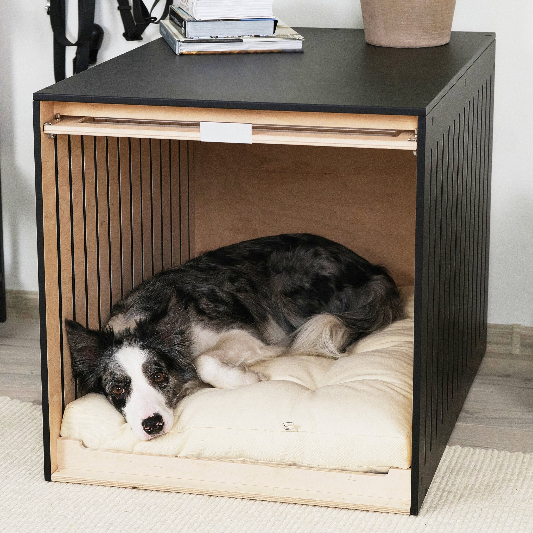 Condo Cane Dog house PetSo