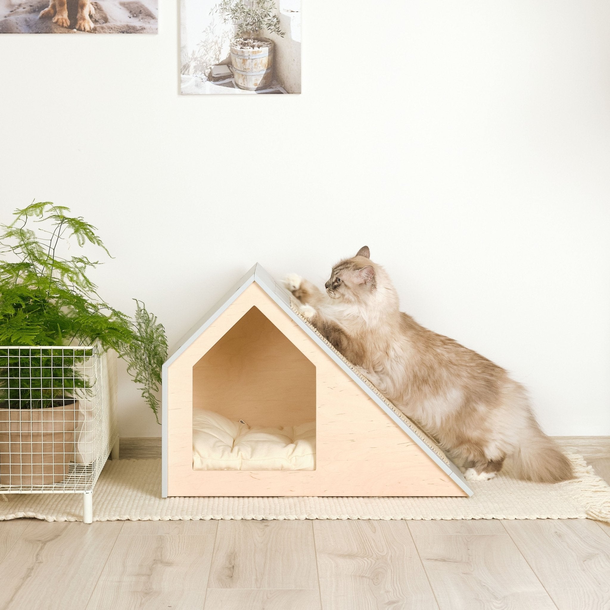 Hamm Scratch Cat house with scratcher PetSo